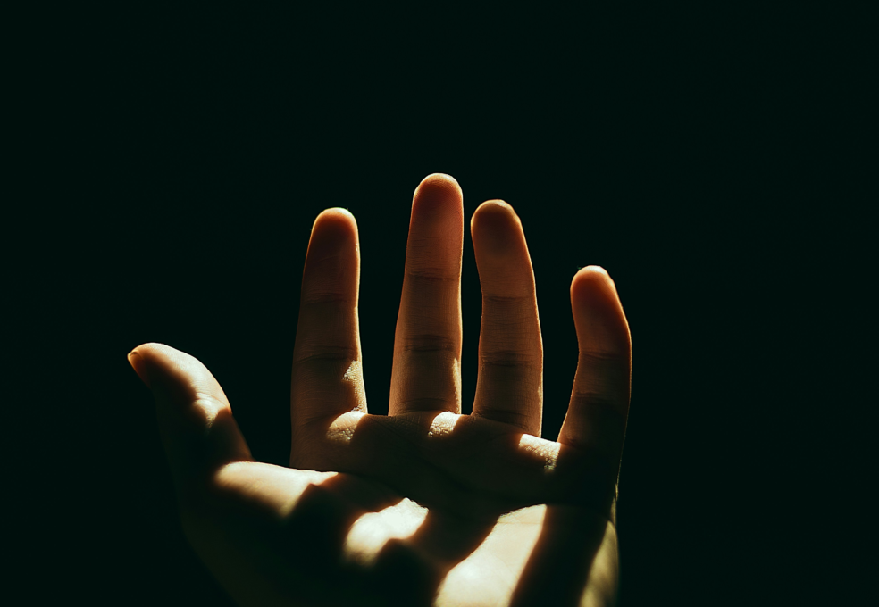 Agustin fernandez s Ngk S19j1r A unsplash