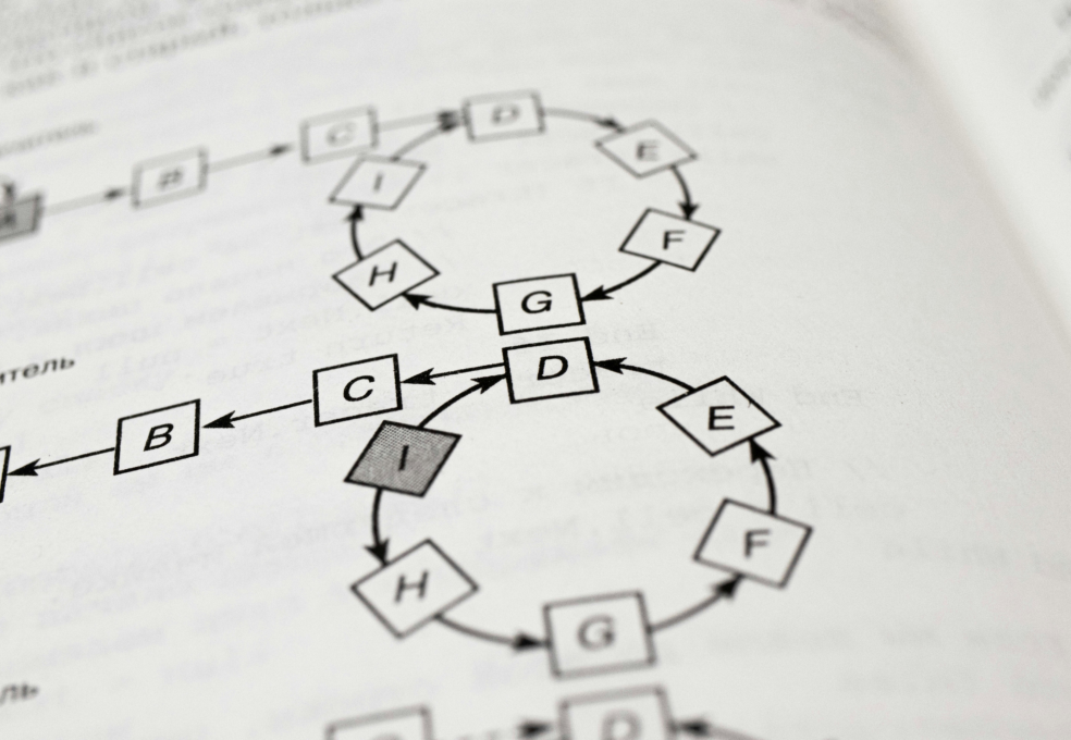 Alpridephoto nuz3r K5ii Kg unsplash